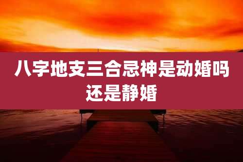 八字地支三合忌神是动婚吗还是静婚