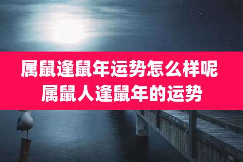 属鼠逢鼠年运势怎么样呢 属鼠人逢鼠年的运势
