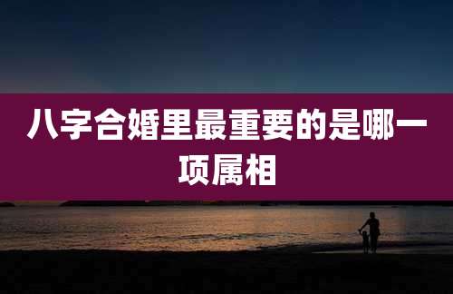 八字合婚里最重要的是哪一项属相