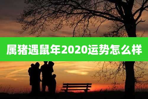 属猪遇鼠年2020运势怎么样
