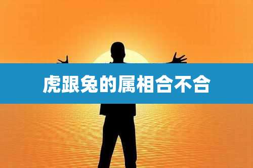 虎跟兔的属相合不合