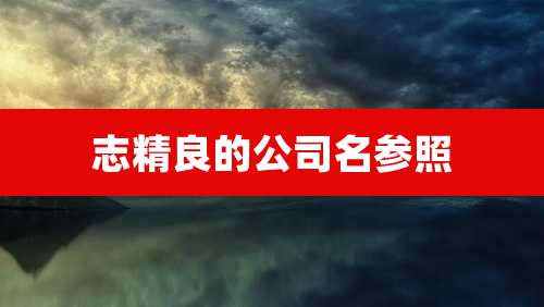 志精良的公司名参照