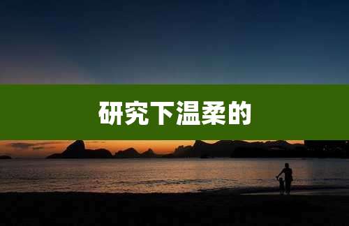 研究下温柔的