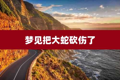 梦见把大蛇砍伤了