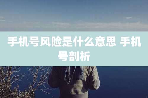 手机号风险是什么意思 手机号剖析