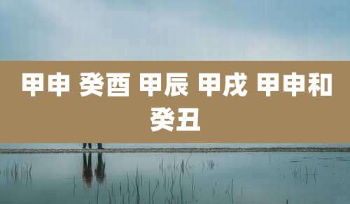 甲申 癸酉 甲辰 甲戌 甲申和癸丑