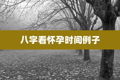 八字看怀孕时间例子