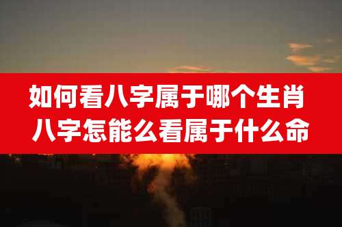 如何看八字属于哪个生肖 八字怎能么看属于什么命