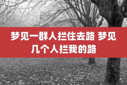 梦见一群人拦住去路 梦见几个人拦我的路