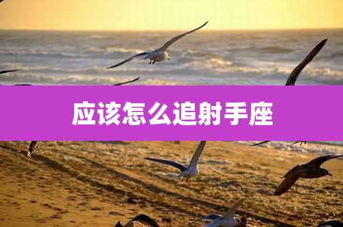 应该怎么追射手座