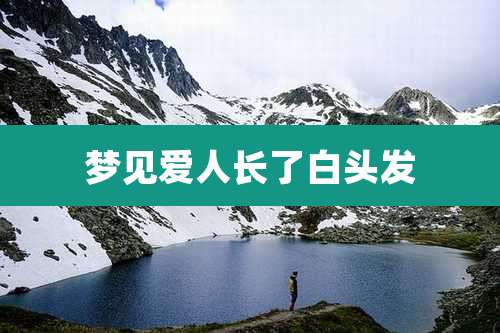 梦见爱人长了白头发