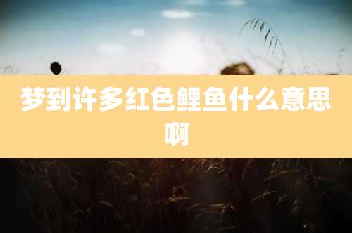 梦到许多红色鲤鱼什么意思啊