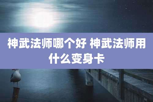 神武法师哪个好 神武法师用什么变身卡
