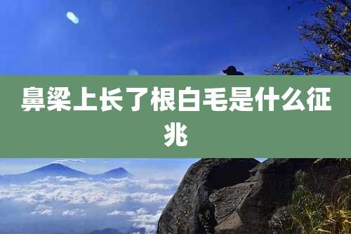 鼻梁上长了根白毛是什么征兆