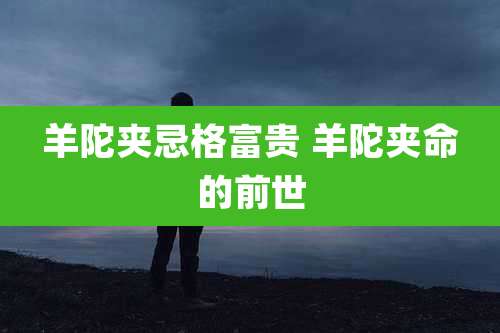 羊陀夹忌格富贵 羊陀夹命的前世