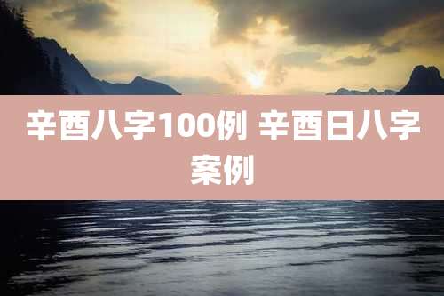 辛酉八字100例 辛酉日八字案例
