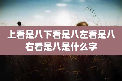 上看是八下看是八左看是八右看是八是什么字