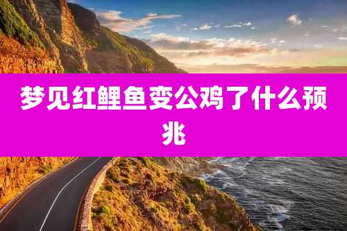 梦见红鲤鱼变公鸡了什么预兆