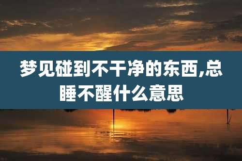 梦见碰到不干净的东西,总睡不醒什么意思
