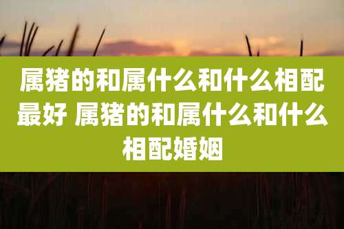 属猪的和属什么和什么相配最好 属猪的和属什么和什么相配婚姻