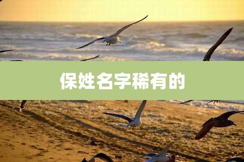 保姓名字稀有的