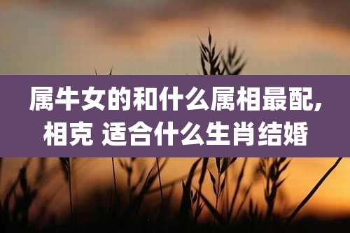 属牛女的和什么属相最配,相克 适合什么生肖结婚