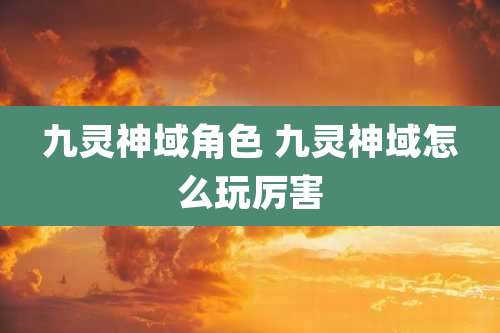 九灵神域角色 九灵神域怎么玩厉害