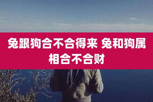 兔跟狗合不合得来 兔和狗属相合不合财