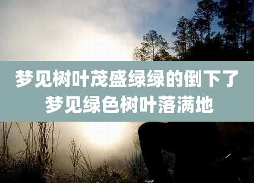 梦见树叶茂盛绿绿的倒下了 梦见绿色树叶落满地