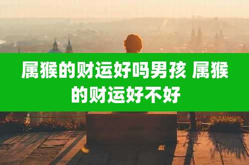 属猴的财运好吗男孩 属猴的财运好不好
