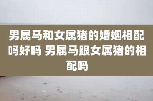 男属马和女属猪的婚姻相配吗好吗 男属马跟女属猪的相配吗
