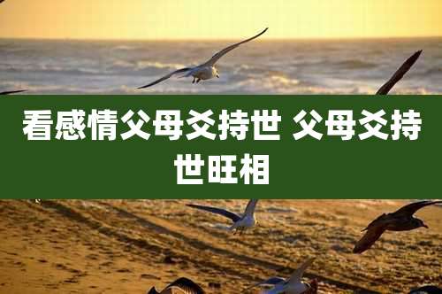 看感情父母爻持世 父母爻持世旺相