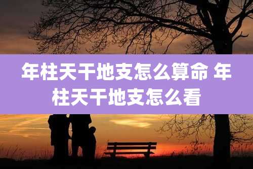 年柱天干地支怎么算命 年柱天干地支怎么看