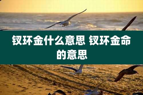 钗环金什么意思 钗环金命的意思