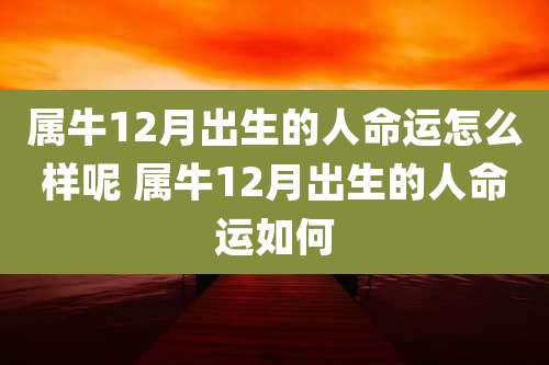 属牛12月出生的人命运怎么样呢 属牛12月出生的人命运如何