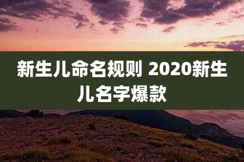 新生儿命名规则 2020新生儿名字爆款