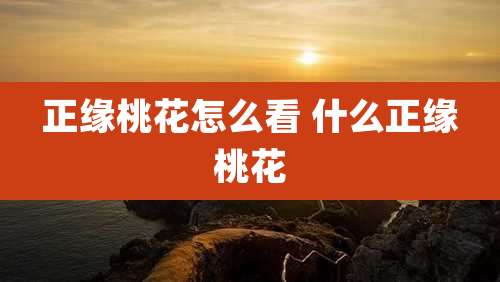 正缘桃花怎么看 什么正缘桃花