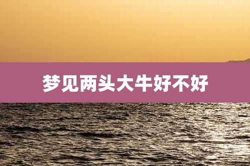 梦见两头大牛好不好