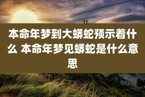 本命年梦到大蟒蛇预示着什么 本命年梦见蟒蛇是什么意思