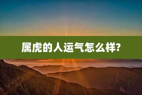 属虎的人运气怎么样?