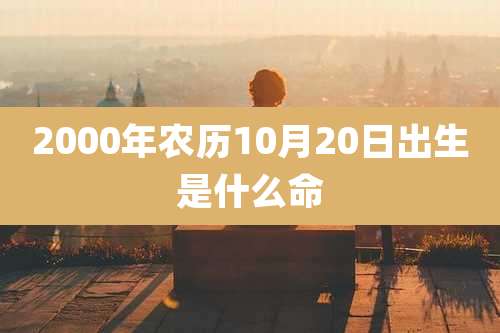 2000年农历10月20日出生是什么命