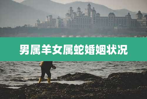 男属羊女属蛇婚姻状况