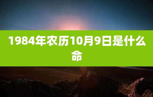 1984年农历10月9日是什么命