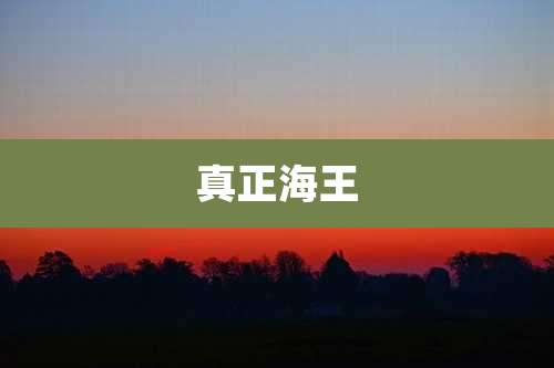真正海王