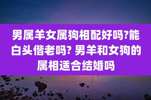 男属羊女属狗相配好吗?能白头偕老吗? 男羊和女狗的属相适合结婚吗