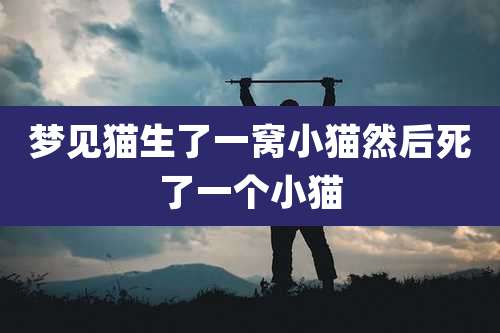 梦见猫生了一窝小猫然后死了一个小猫