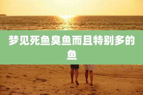 梦见死鱼臭鱼而且特别多的鱼