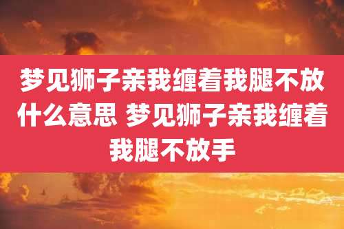 梦见狮子亲我缠着我腿不放什么意思 梦见狮子亲我缠着我腿不放手
