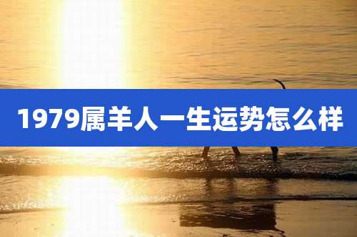 1979属羊人一生运势怎么样