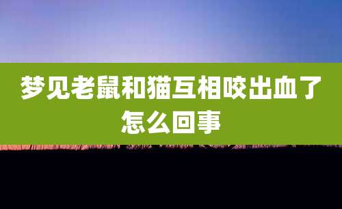 梦见老鼠和猫互相咬出血了怎么回事